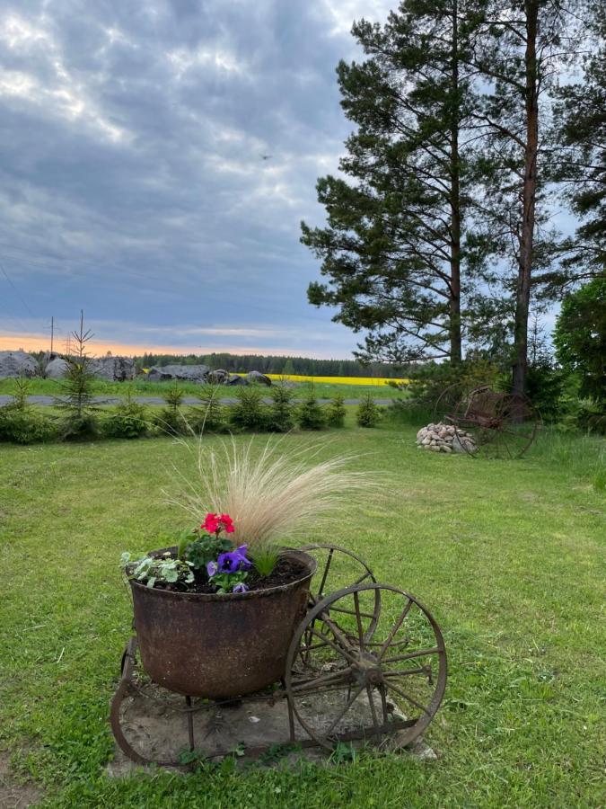 Kaeaenu Puhkemaja Villa Rakvere Dış mekan fotoğraf